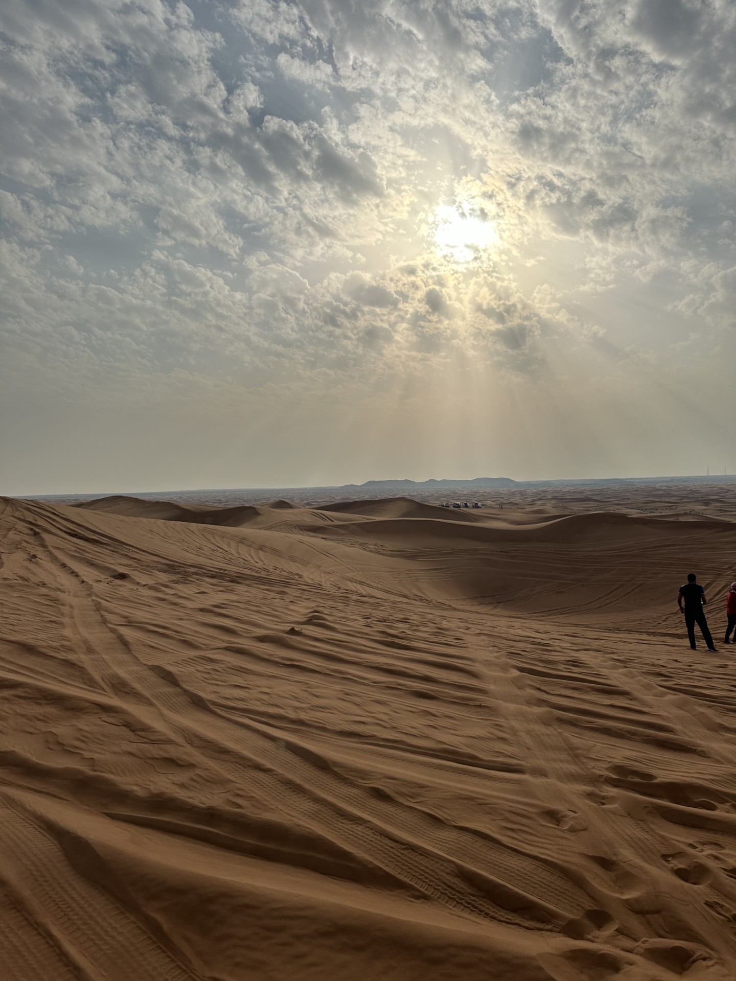 Sand dunes in the Dubai Desert Conservation Reserve.