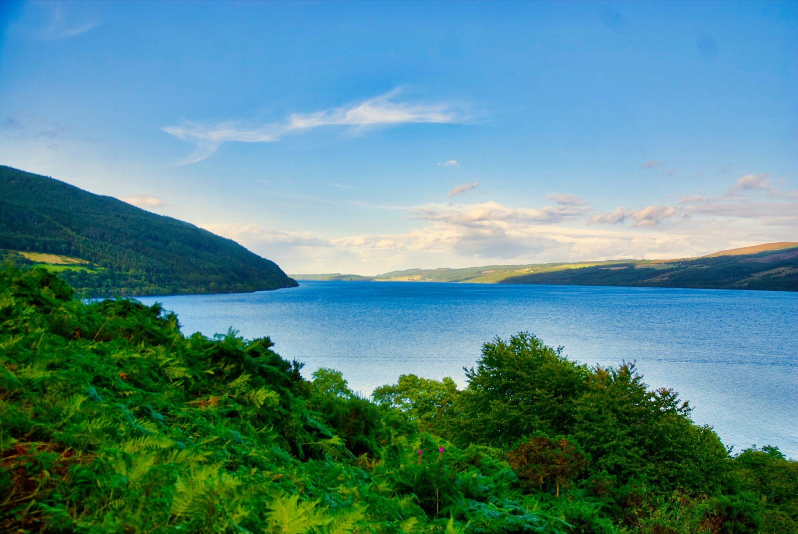 Blue water at Loch Ness with wooded green hills and bracken in the foreground.