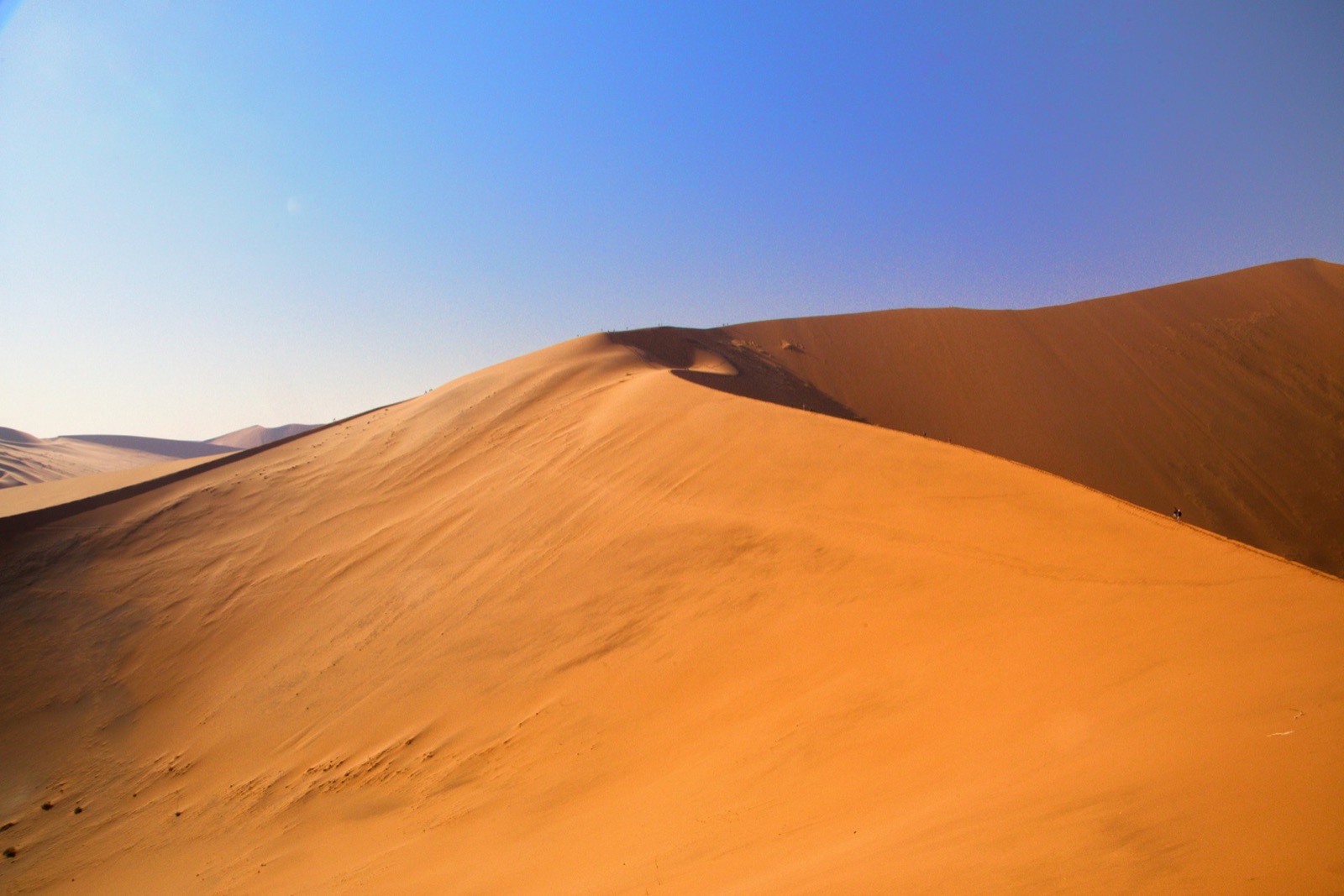 Orange sand ridges at Big Daddy Dune in Sossusvlei beneath a clear blue sky.